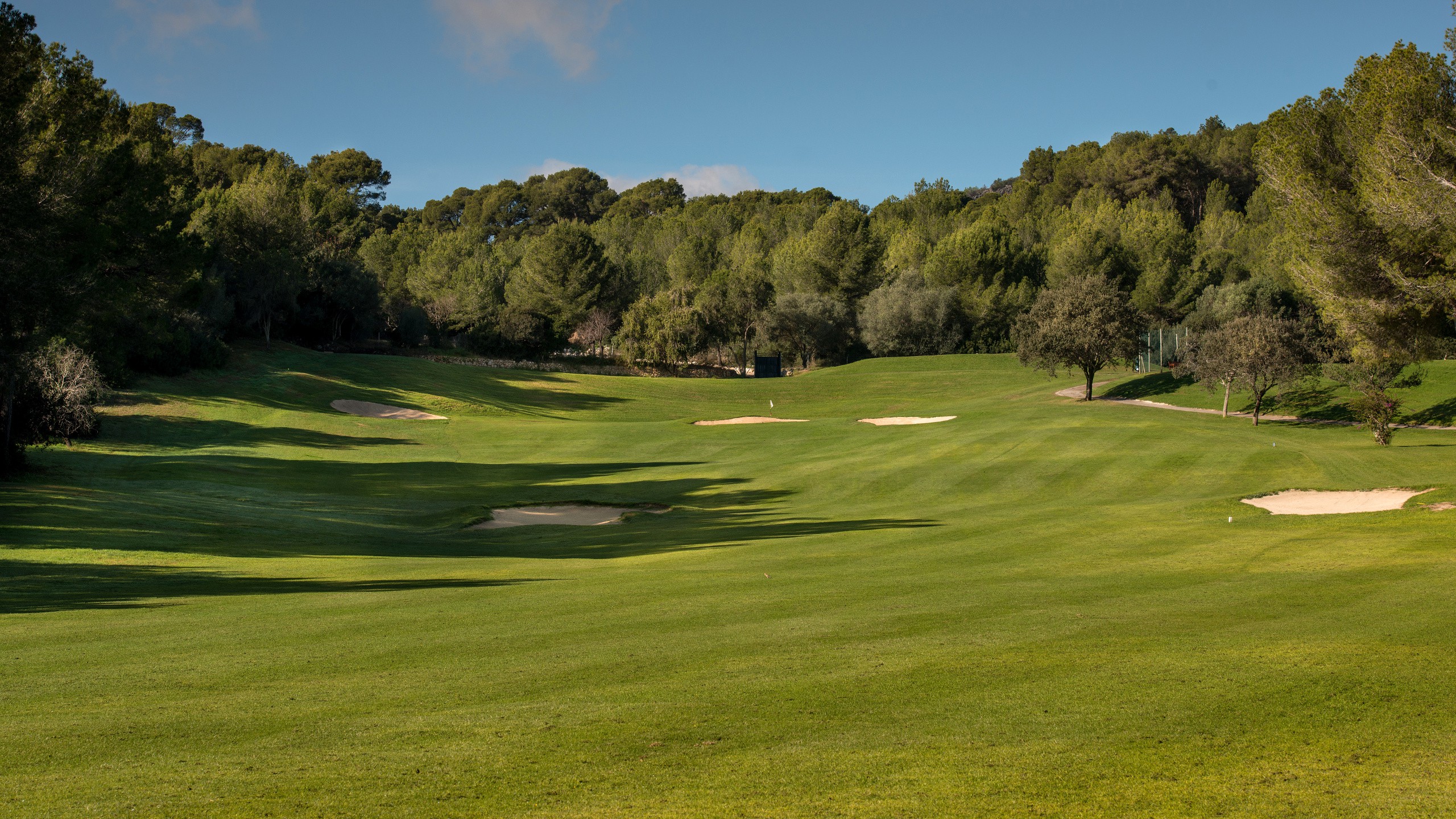 Sharpstown golf course tee times